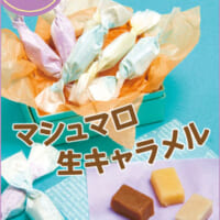 マシュマロ生キャラメル マシュマロ情報サイト エイワのマシュマロ 株式会社エイワ マシュマロ生キャラメル マシュマロ情報サイト エイワのマシュマロ 株式会社エイワ