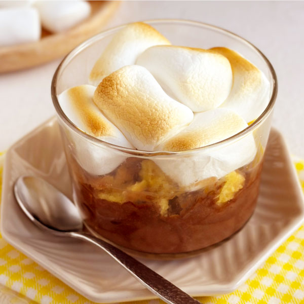 焼きマシュマロでチョコスモアアイス